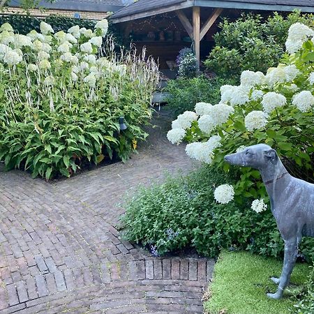 مبيت وإفطار لارين Maison De Sas المظهر الخارجي الصورة