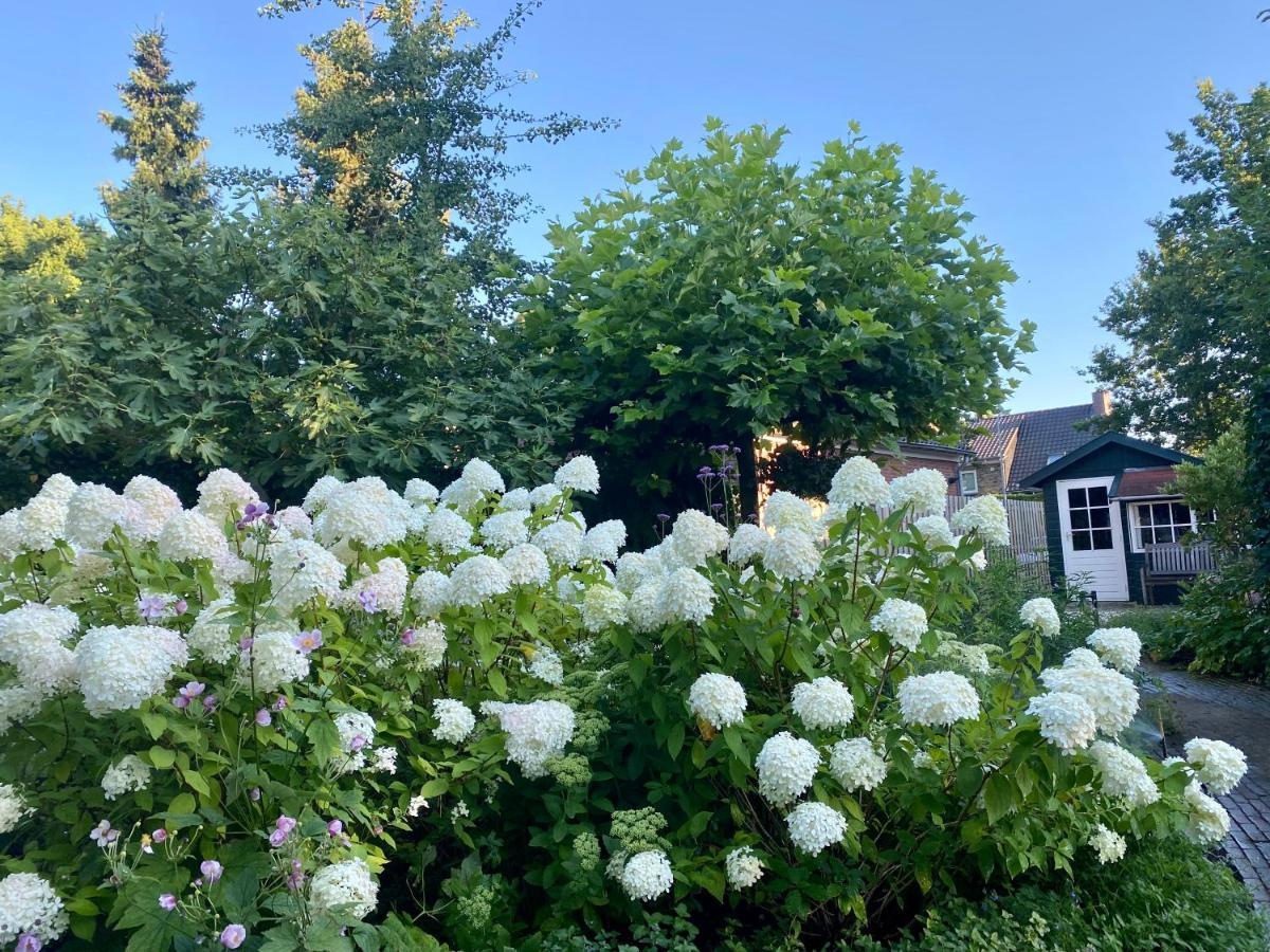 مبيت وإفطار لارين Maison De Sas المظهر الخارجي الصورة